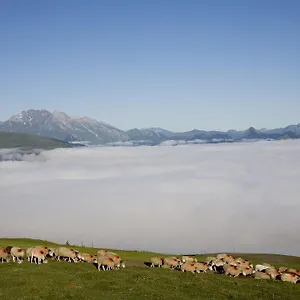 https://hotel-le-viscos.midi-pyreneeshotels.com