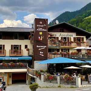 https://hotel-les-ancolies.hotels-rhonealpes.com