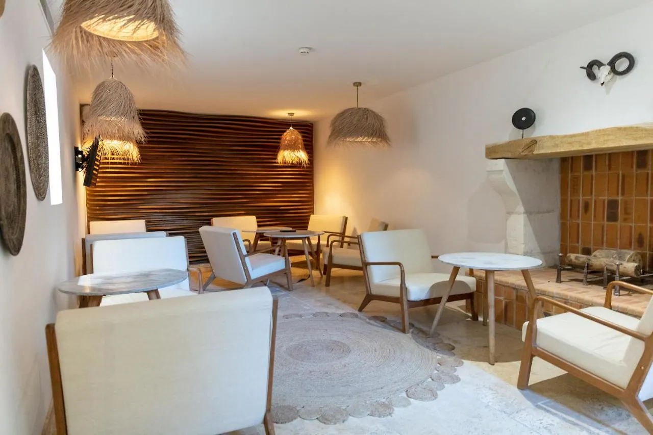 Hotel Le Saint Remy & Spa